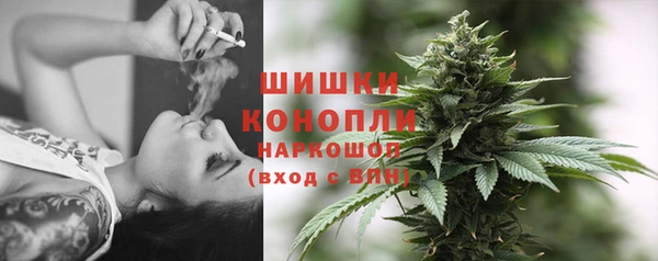 ALPHA PVP Осинники