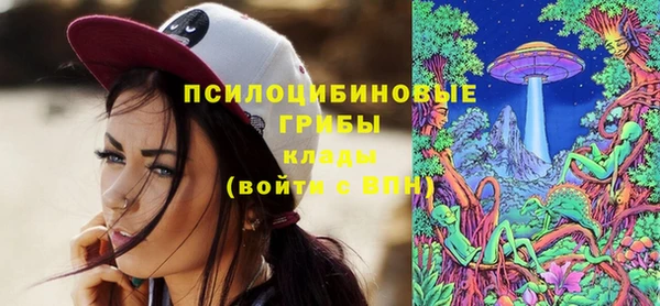 хмурый Осташков