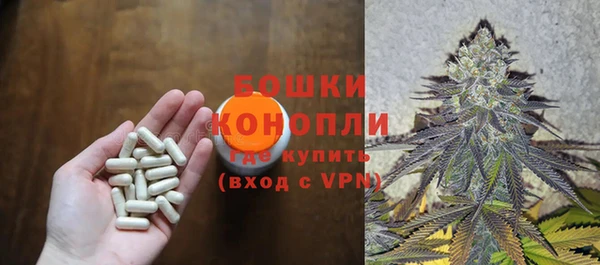 ALPHA PVP Осинники