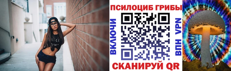 Псилоцибиновые грибы мухоморы  Шацк 